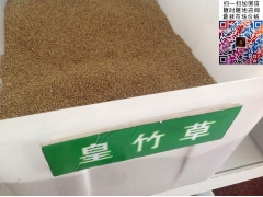 買皇竹草多少錢一斤合算？