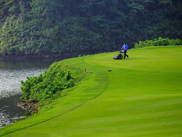 高爾夫球場草坪圖片
