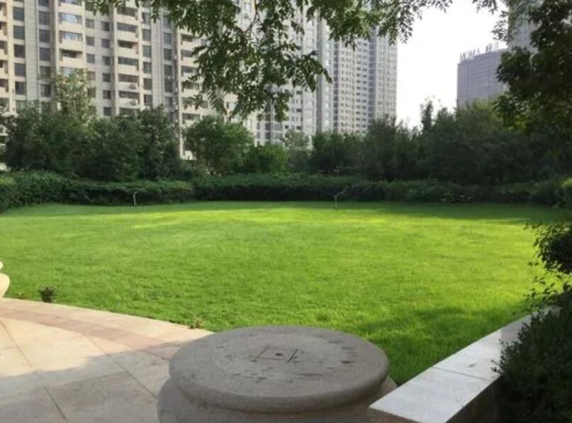 1647537353231663.jpg 1647537353231663.jpg