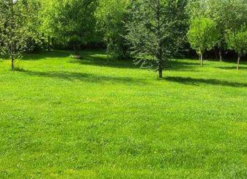 1647537353354420.jpg 1647537353354420.jpg