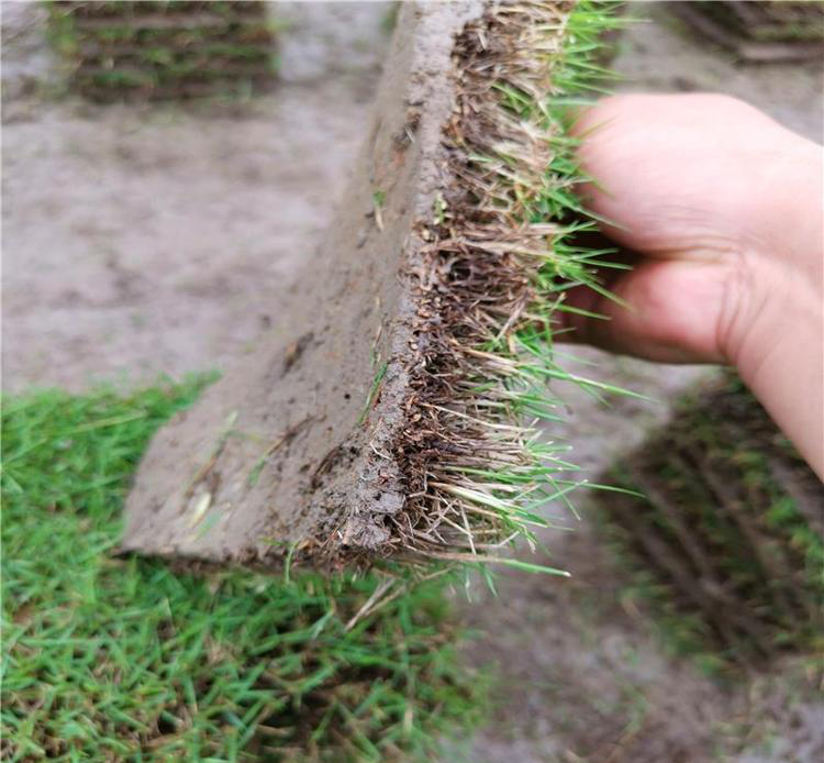 1647574087312729.jpg 1647574087312729.jpg