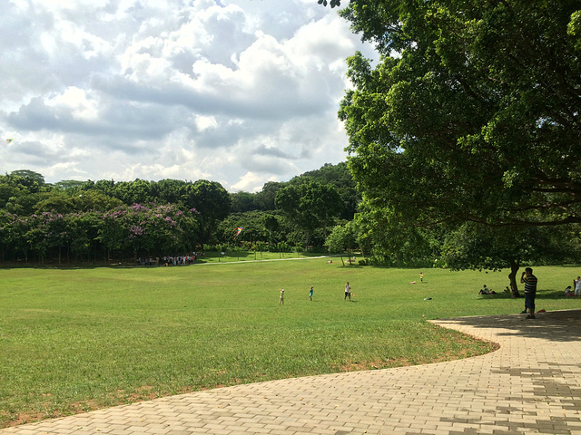 1647575160179311.jpg 1647575160179311.jpg