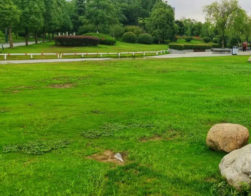 1647575160580236.jpg 1647575160580236.jpg