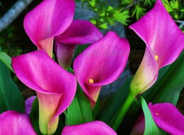 1649038982843930.jpg 1649038982843930.jpg