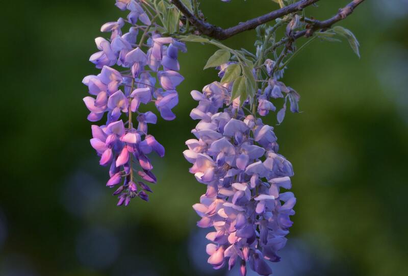 1649039468187356.jpg 1649039468187356.jpg