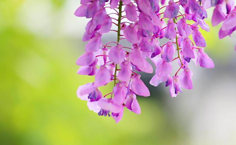 1649039468352691.jpg 1649039468352691.jpg