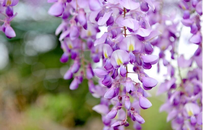 1649039468491820.jpg 1649039468491820.jpg