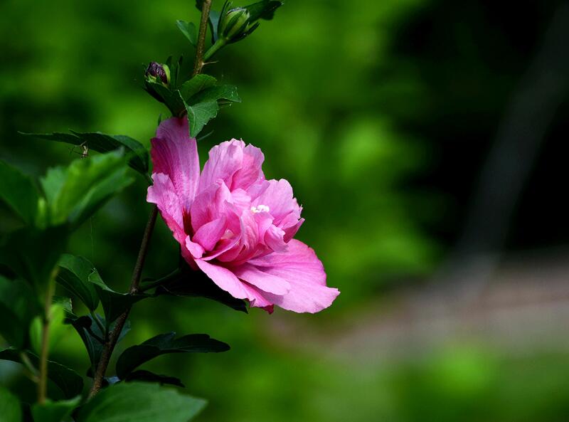 1649039554339280.jpg 1649039554339280.jpg