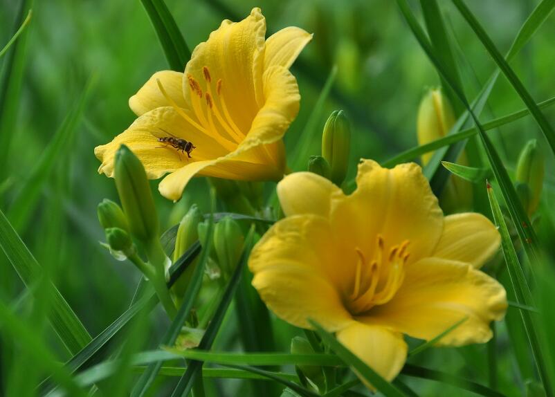 1649039924432006.jpg 1649039924432006.jpg