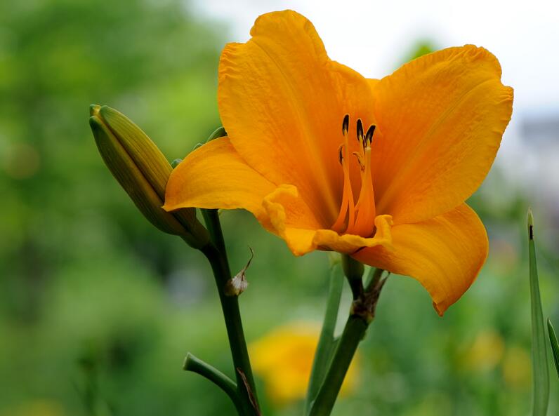 1649039924744202.jpg 1649039924744202.jpg