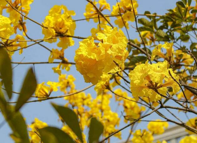 1649041477136398.jpg 1649041477136398.jpg