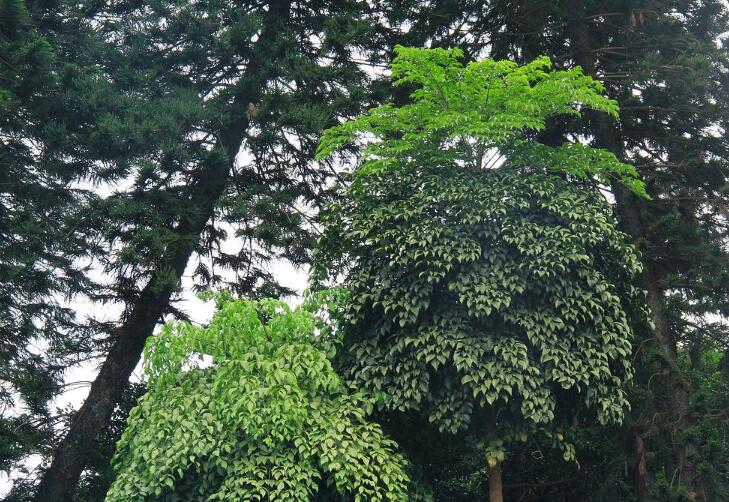 1649042694551889.jpg 1649042694551889.jpg