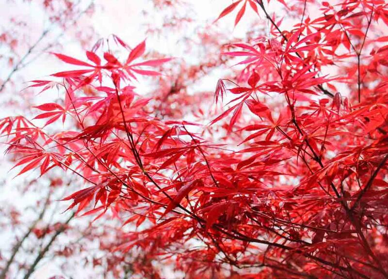 1649042890611197.jpg 1649042890611197.jpg