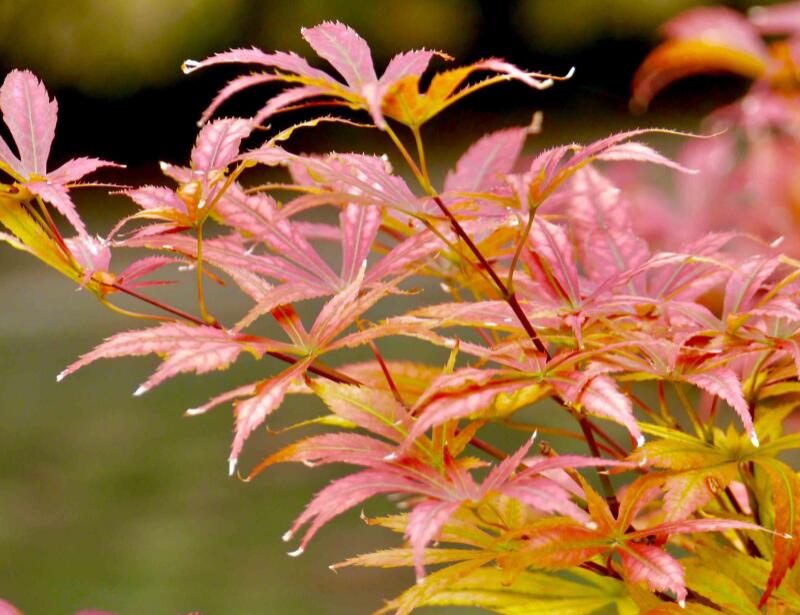 1649042890918558.jpg 1649042890918558.jpg