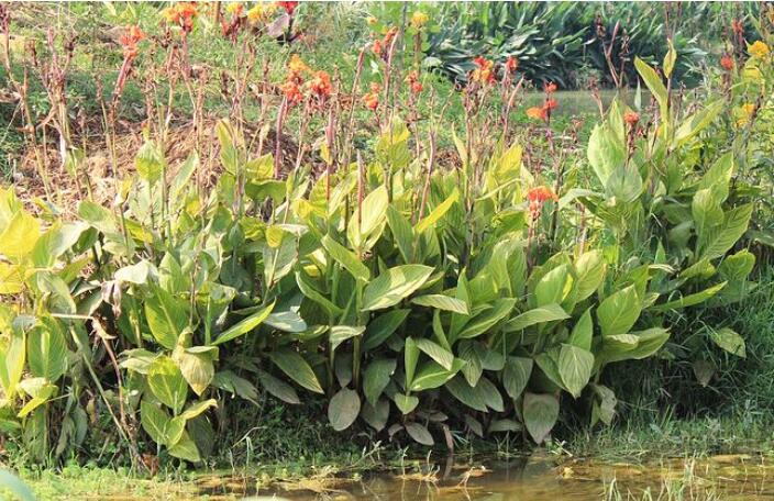 1649043346737371.jpg 1649043346737371.jpg