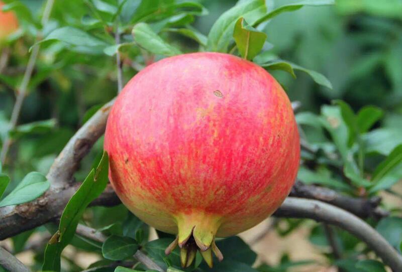 1649043586951950.jpg 1649043586951950.jpg