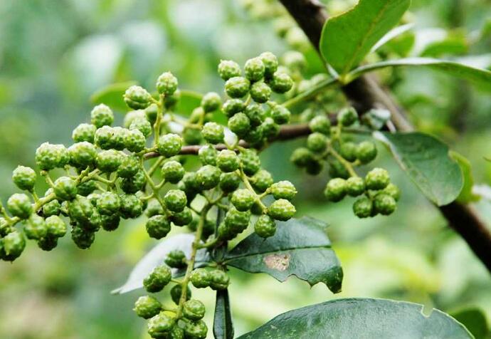 1649043844929380.jpg 1649043844929380.jpg