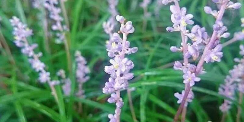 1649044351530384.jpg 1649044351530384.jpg