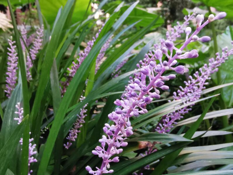 1649044351677996.jpg 1649044351677996.jpg