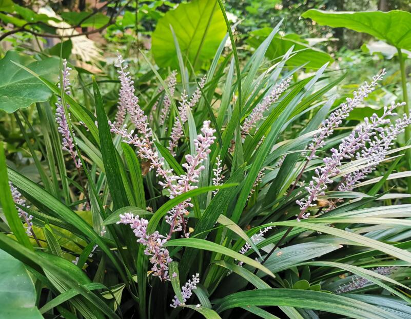 1649044351702635.jpg 1649044351702635.jpg