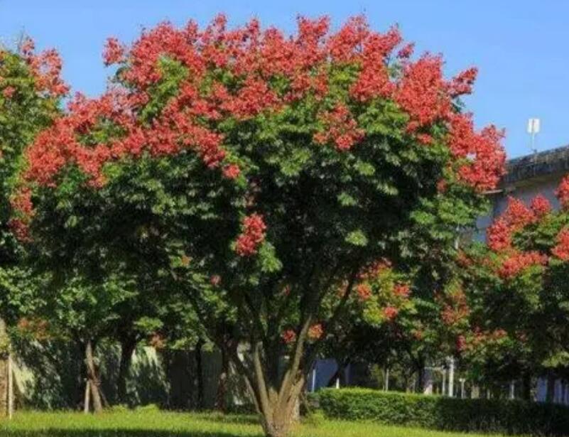 1649045068725089.jpg 1649045068725089.jpg