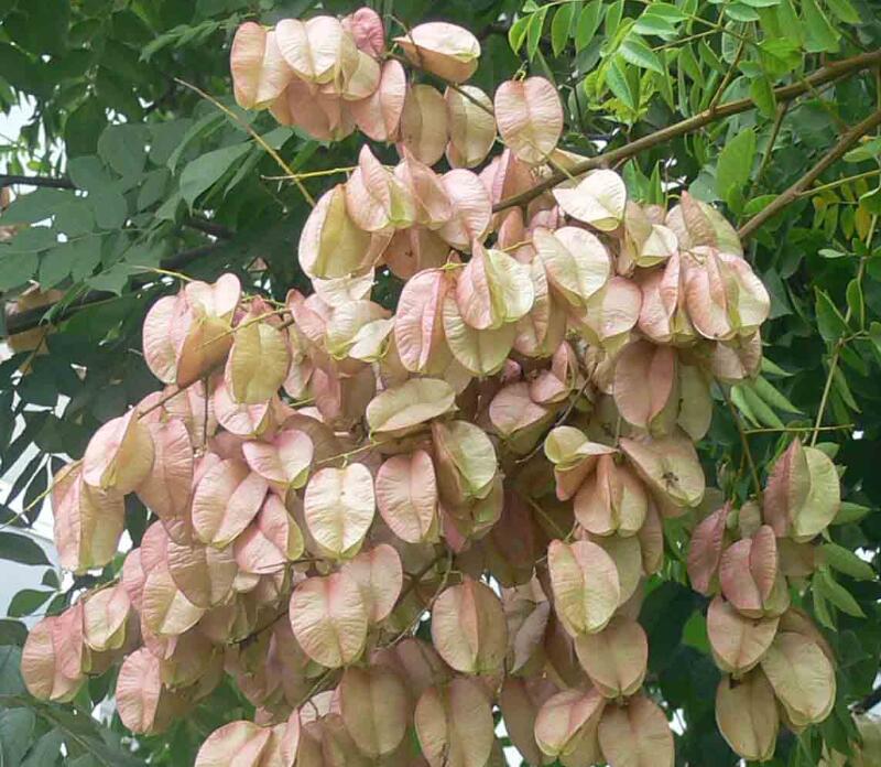 1649045068918545.jpg 1649045068918545.jpg