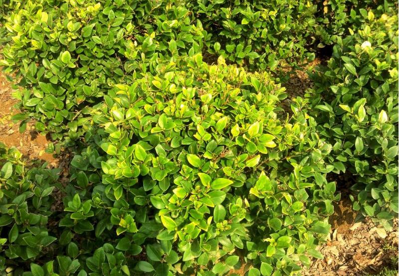 1649045149507749.jpg 1649045149507749.jpg