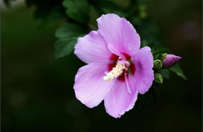 1649045269717821.jpg 1649045269717821.jpg