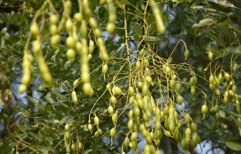 1649046278312358.jpg 1649046278312358.jpg