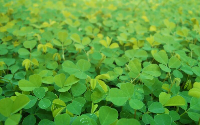 1651542986754140.jpg 1651542986754140.jpg