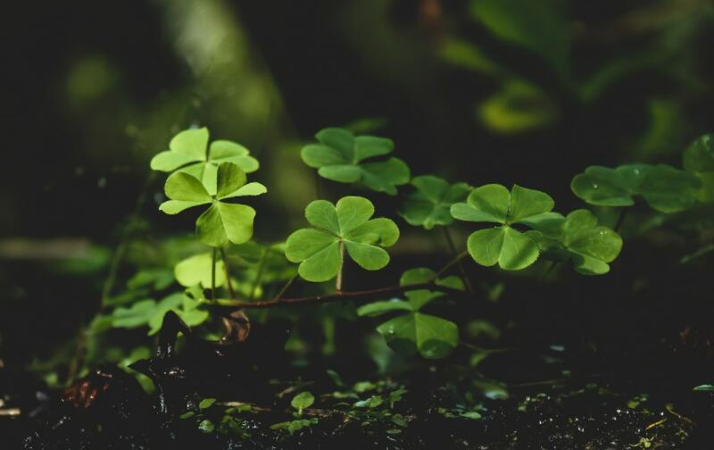 1651543098419252.jpg 1651543098419252.jpg