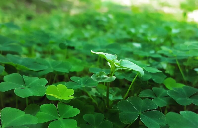 1651545280961295.jpg 1651545280961295.jpg