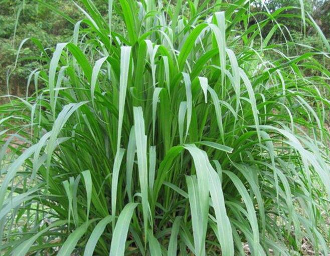 1653798400720233.jpg 1653798400720233.jpg