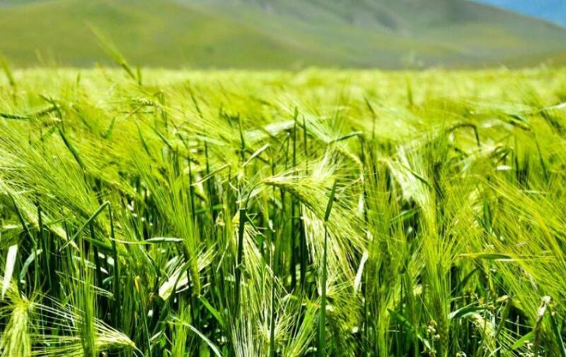 1654496745308919.jpg 1654496745308919.jpg