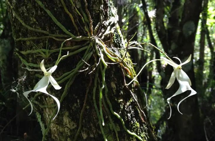 1672621873254043.jpg 微信圖片_20230102091035.jpg