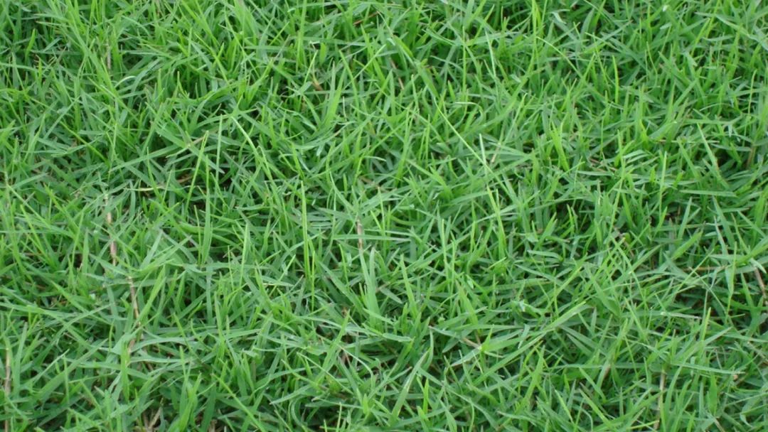 1672650499741656.jpg 微信圖片_20220820070538.jpg