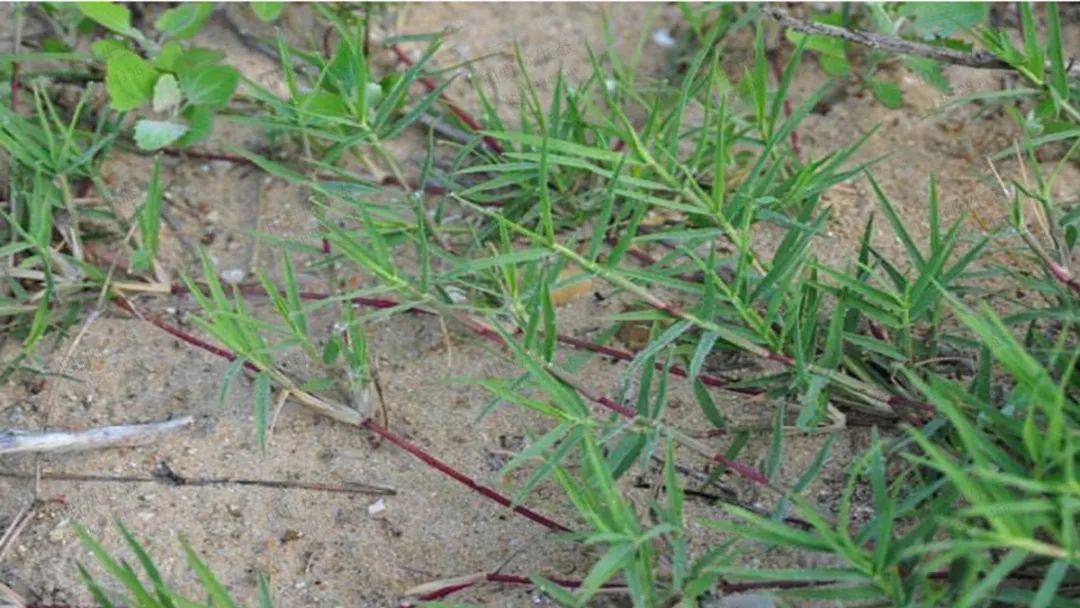 1672650505613698.jpg 微信圖片_20220820070557.jpg