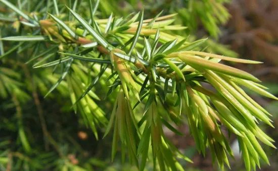 1673091524891126.jpg 微信圖片_20230107193600.jpg