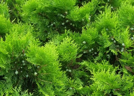 1673091531367093.jpg 微信圖片_20230107193612.jpg