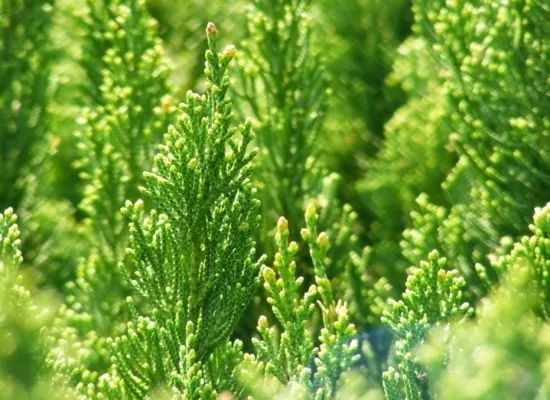 1673091540914466.jpg 微信圖片_20230107193620.jpg