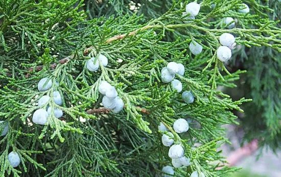 1673091547946549.jpg 微信圖片_20230107193628.jpg