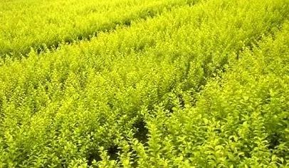 1673156610348150.jpg 微信圖片_20230108134301.jpg