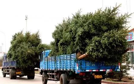 1673156833770067.jpg 微信圖片_20230107195432.jpg