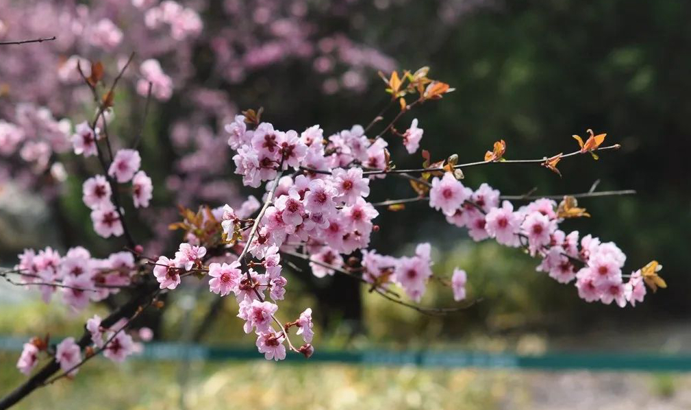 1673157460523245.jpg 微信圖片_20230108135549.jpg