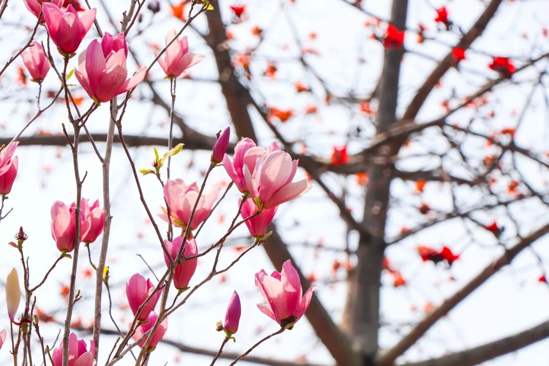 1673158218253315.jpg 微信圖片_20221125235219.jpg