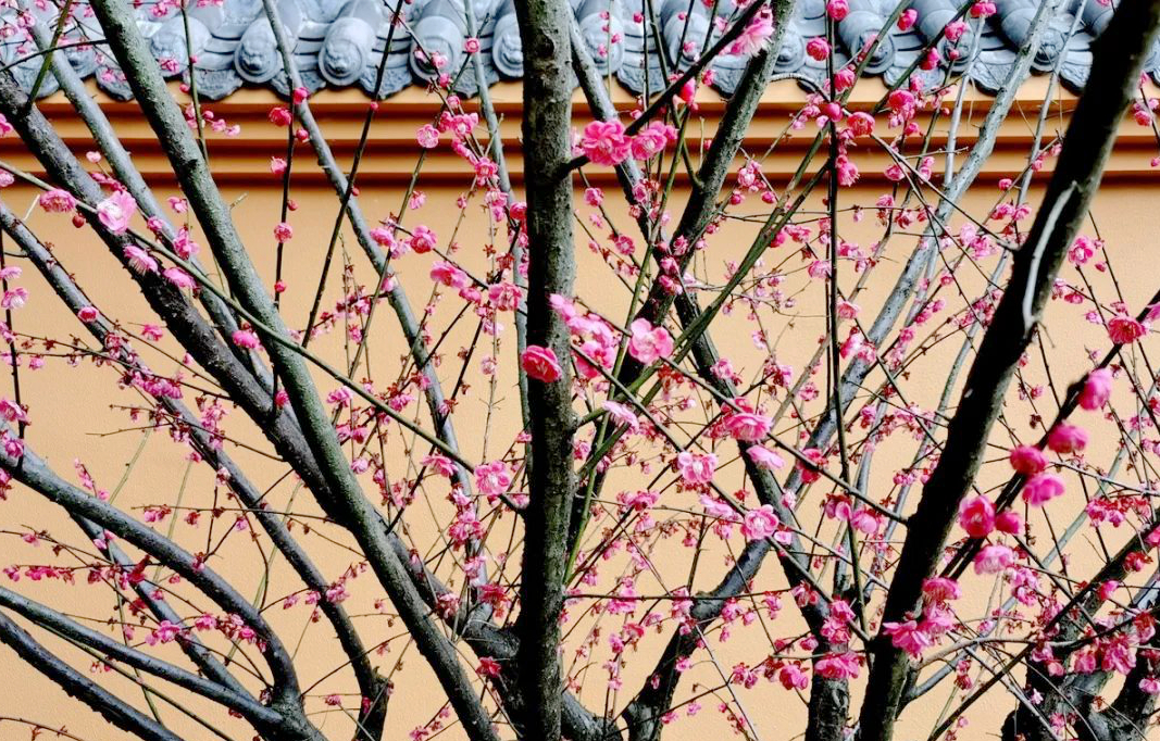 1673158353946756.jpg 微信圖片_20230108124125.jpg