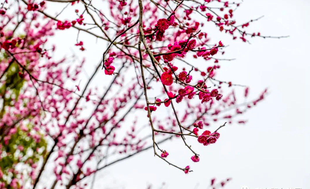 1673158359635809.jpg 微信圖片_20230108124138.jpg