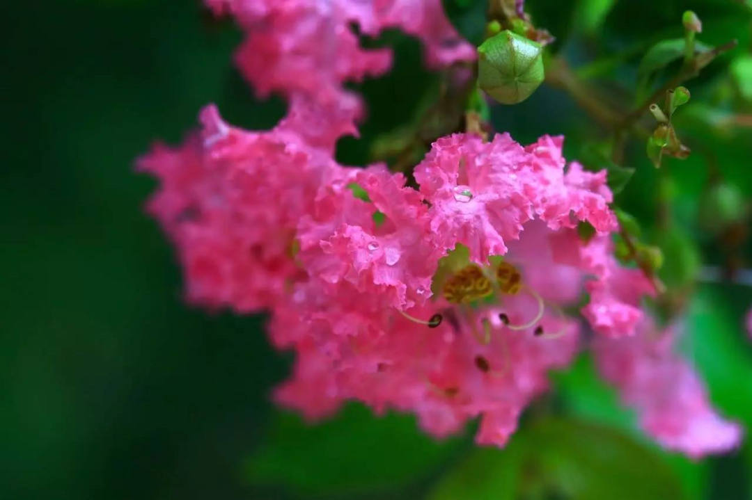 1673525924326145.png 微信圖片_20230112201812.png