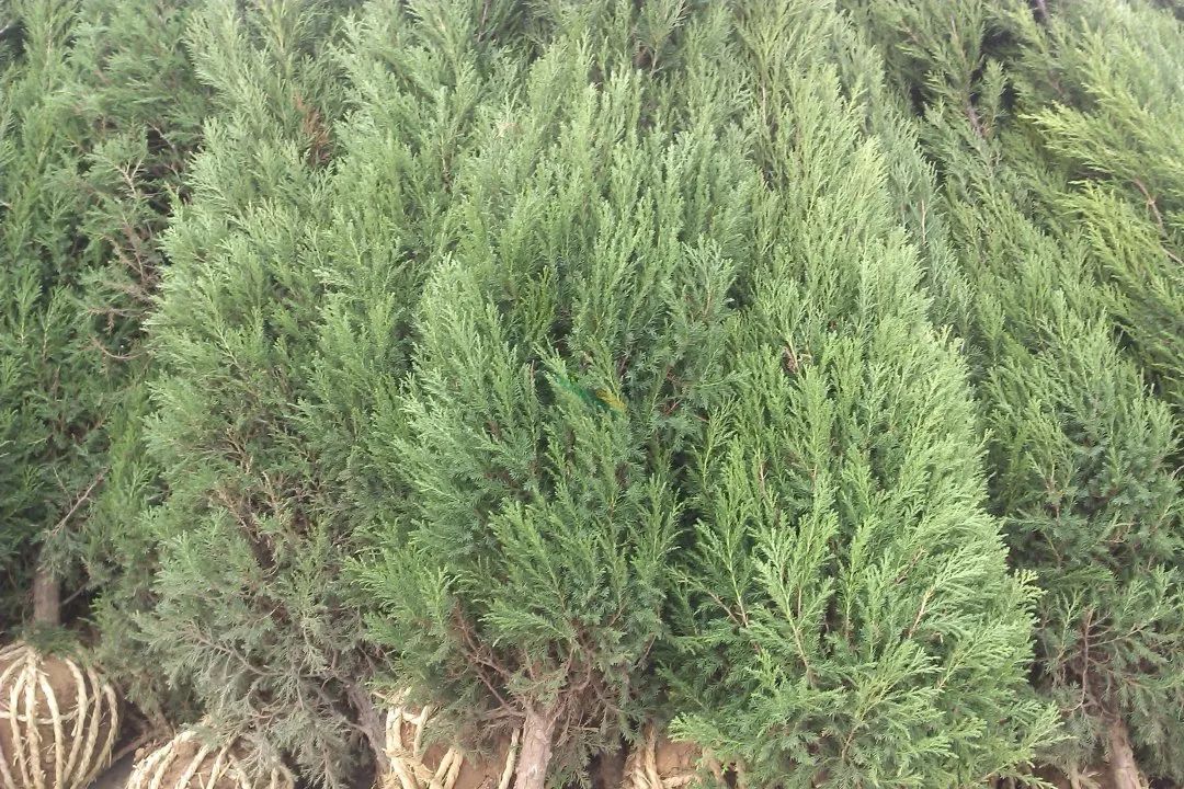 1673526064269232.jpg 微信圖片_20230112202010.jpg