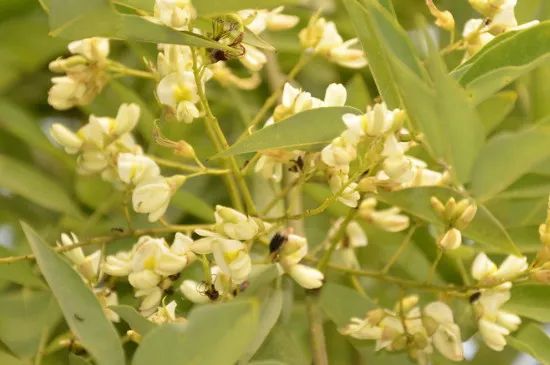 1673526130757225.jpg 微信圖片_20221025220215.jpg